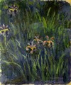 Irises II Claude Monet